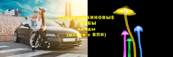 трава Абинск