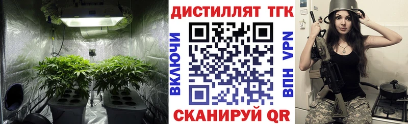 магазин    Ковдор  Дистиллят ТГК Wax 